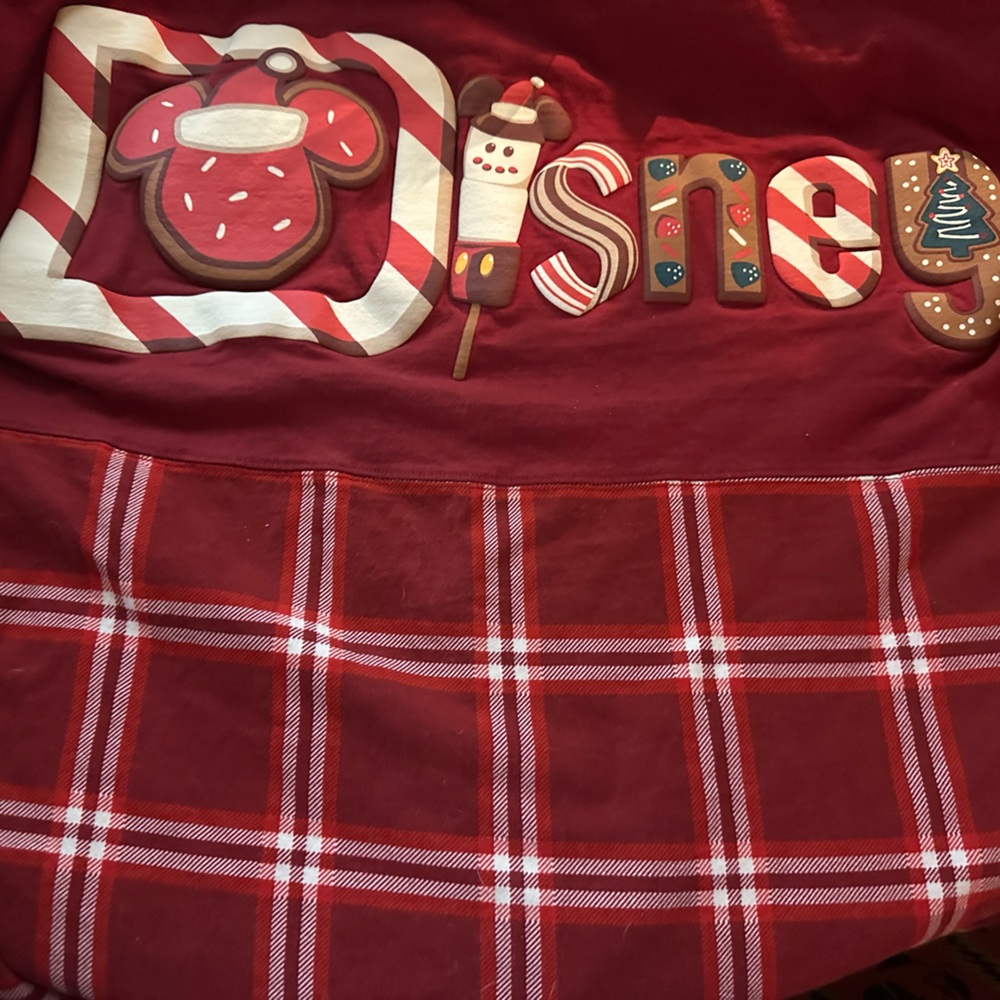 Disney Spirit Jersey size Large Christmas Walt Disney World